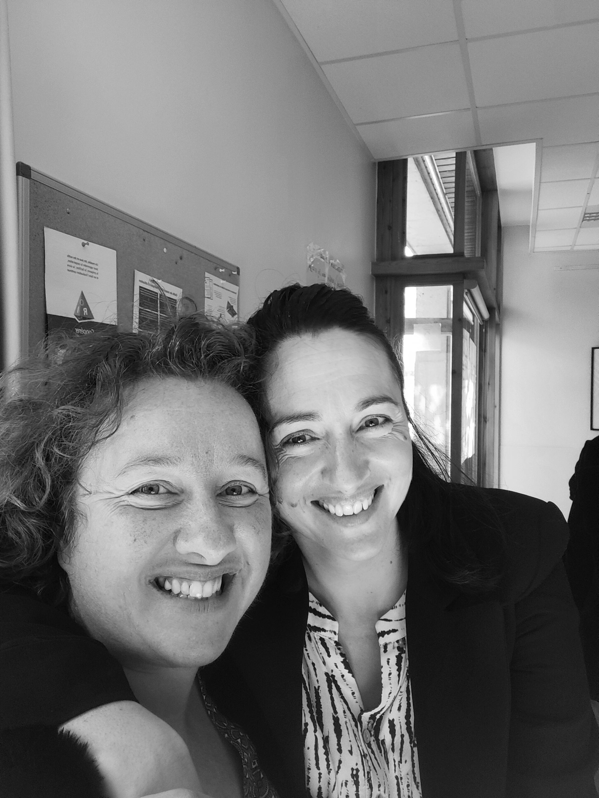 analyse pratique professionnelle